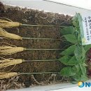 서천소비자유통 이미지