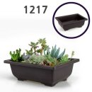 다육이 아트(B) 이미지