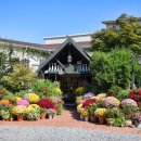 타샤의정원 이미지