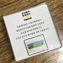 민들레스토어