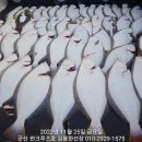 군산대박 이미지