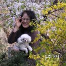 영광수예 이미지