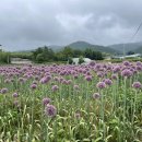 부흥 마을회관 이미지