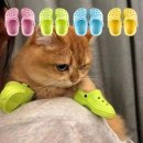 고양이발자국 이미지