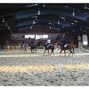 연천승마공원 이미지