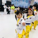 초롱태권도장 이미지