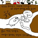 찰익은토마토농장