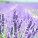 견우직녀달 이미지