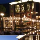 드위트리 풀빌라펜션 & 카라반가든 이미지