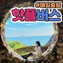 비발디투어주 | 소노벨 비발디 파크 소노 펠리체 빌리지 가족 여행 후기 소노벨 펠리체 맛집 강원도 가볼만한 곳 국내여행
