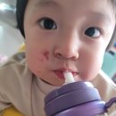 코스모스 민박 이미지