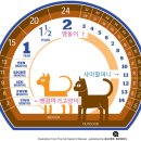 계산동물병원 이미지