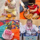 도토리캠프 | 세종 홈플러스 문화센터 베이비캠프 후기 (등록 꿀팁, 9개월 아기)