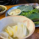 스텔라바디핏 이미지