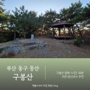01-11 동구 | 부산 동구 구봉산 등산코스 중앙공원 치유숲길 초보자 코스