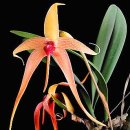 행복의아침 이미지