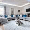 씨유무주하조사거리점 | 의왕 웰시코기분양 기대와 다른 현실을 마주한 후기