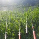 수석모텔 이미지