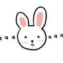 동이보쌈 이미지