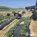 감물면사무소 이미지