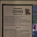 통영구가네펜션 | 통영 마당있는 애견동반 펜션 글램독 208호 내돈내산 솔직한 방문 후기