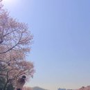 (주)태광투어 네이버블로그