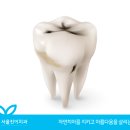 서울진이치과의원 이미지