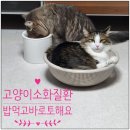 토인헤어 이미지