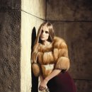 레드폭스 이미지