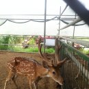 형제농장B 이미지