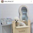 네일드최