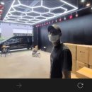 광일모터스 이미지