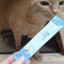 건강한펫 이미지