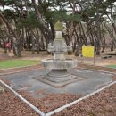 목계숲 2 이미지