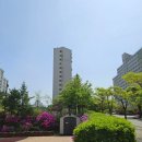 퇴계주공7단지 이미지