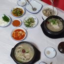 하청야구장 | 거제도 맛집 하청 죽순 삼계탕