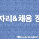 [채용] 6월 22일 사람인 추천 채용 정보