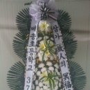 쌍송북로 Daum카페