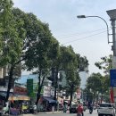 힐링기체조 | 베트남 여행｜4일차 푸꾸옥에서 꼭 먹어야하는 국수 분켄 Bun ken, 로컬 껌땀집 추천