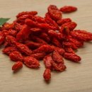 주식회사 제이에스에너지 | 베르베린 구매 전 이것 모르면 돈 낭비