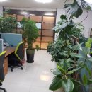 중앙서초플라자 이미지