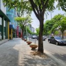 이리영등초등학교 이미지