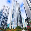 청담-151 이미지