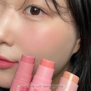 블러셔스틱 아임미미 신상 웜톤 쿨톤 3컬러 후기