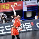 더레오 이미지