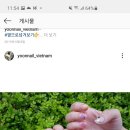 윤네일 티스토리