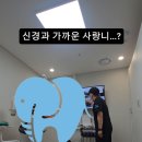 J.M치과기공소 | 사랑니가 신경과 가까우면 위험한가요?