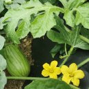 (주)진농 이미지