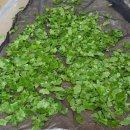 부림농장 이미지