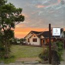 애월의온도 이미지